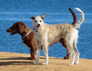 Giovanni and Hildegard