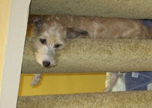 Giovanni on the stairs